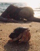 Анкета проститутки Алина - метро Орехово-Борисово Южное, возраст - 25